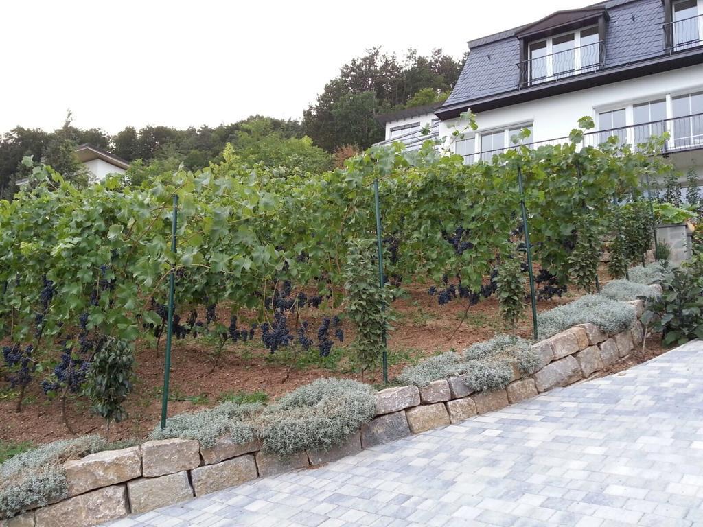 Idyllisches Wohnen Weinberg Apartment Bad Kissingen