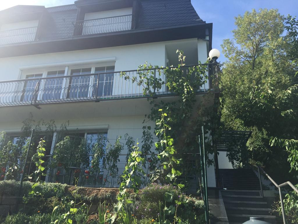 Idyllisches Wohnen Weinberg Bad Kissingen