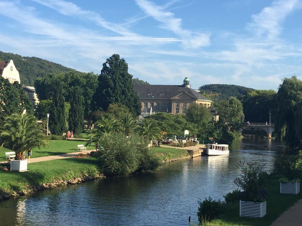 Apartment Idyllisches Wohnen Weinberg *