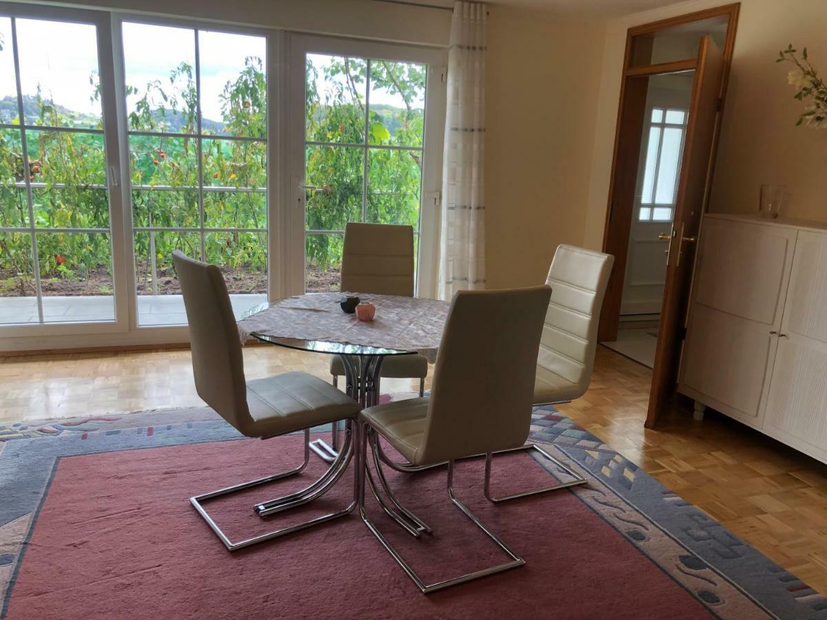 Apartment Idyllisches Wohnen Weinberg Bad Kissingen